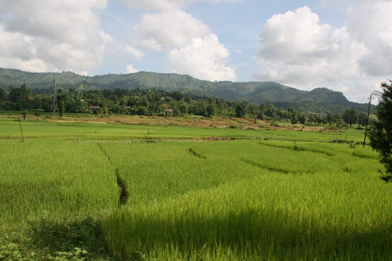 India & Nepal 2011 - 0506